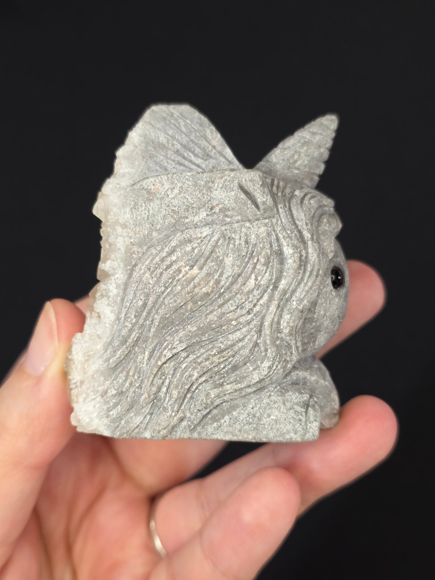 Pet Rock Unicorn Carving