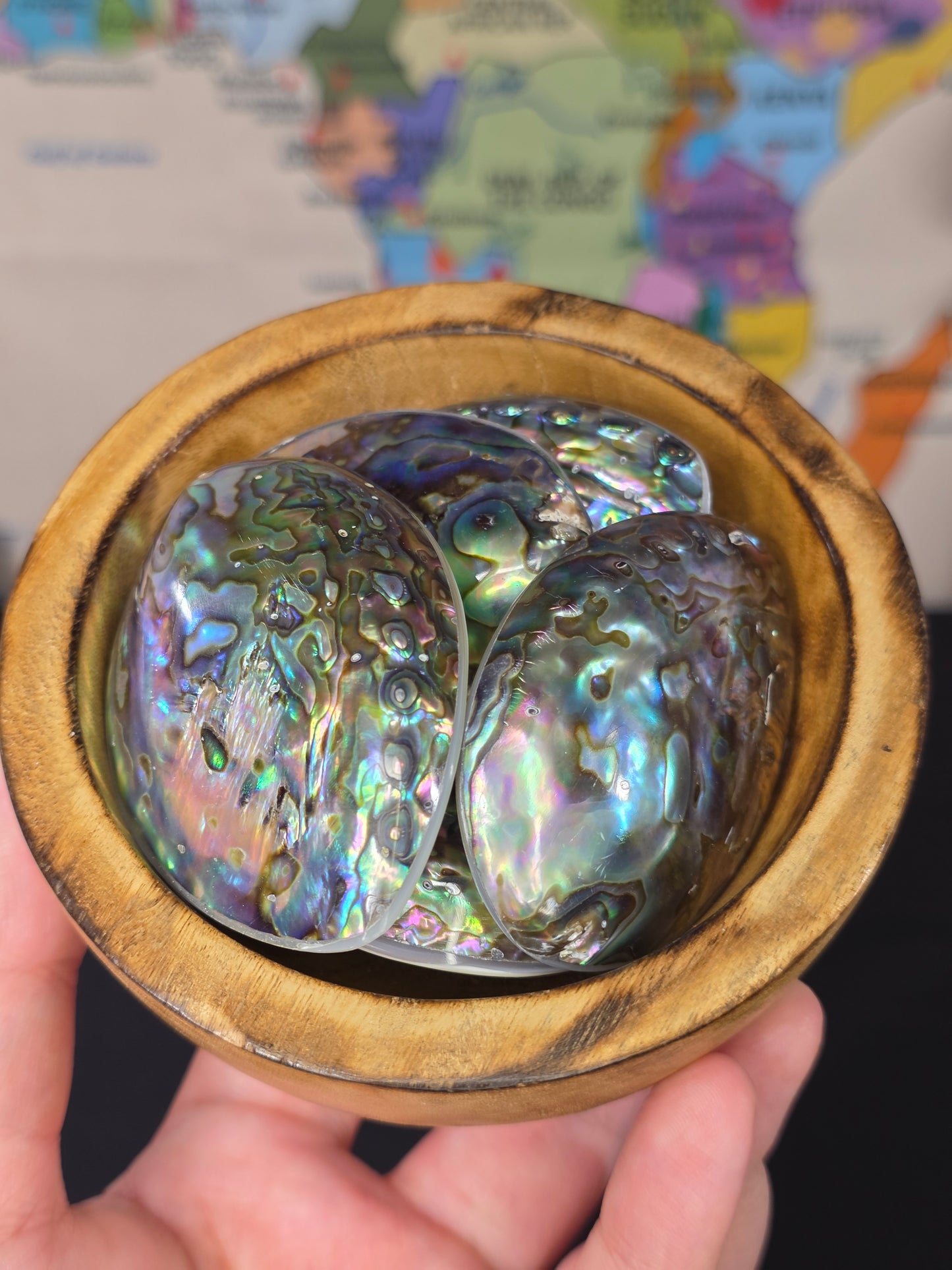 Abalone Shell x Mother of Pearl Palm Stone