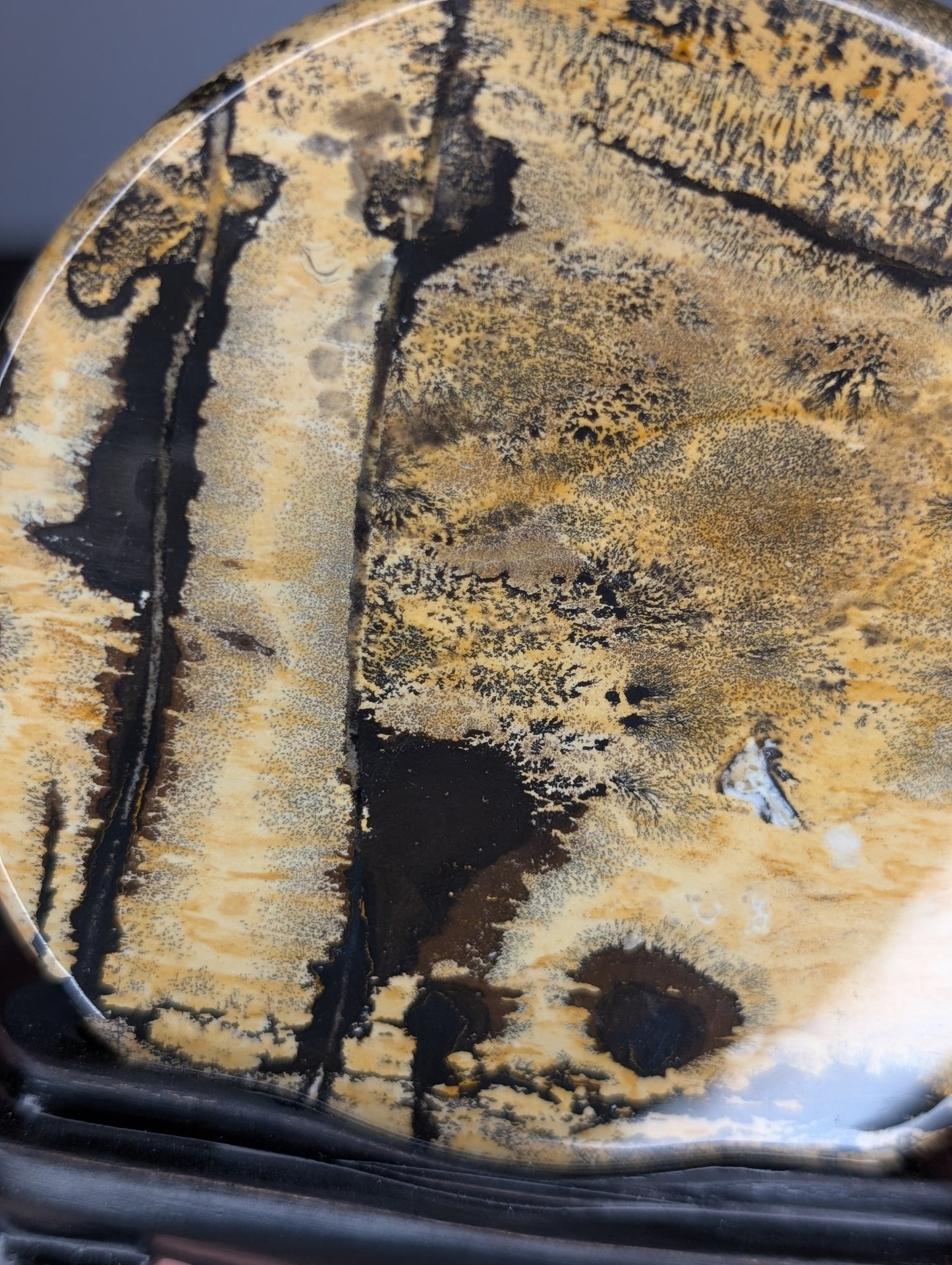 Picture Jasper Slab with Wooden Base