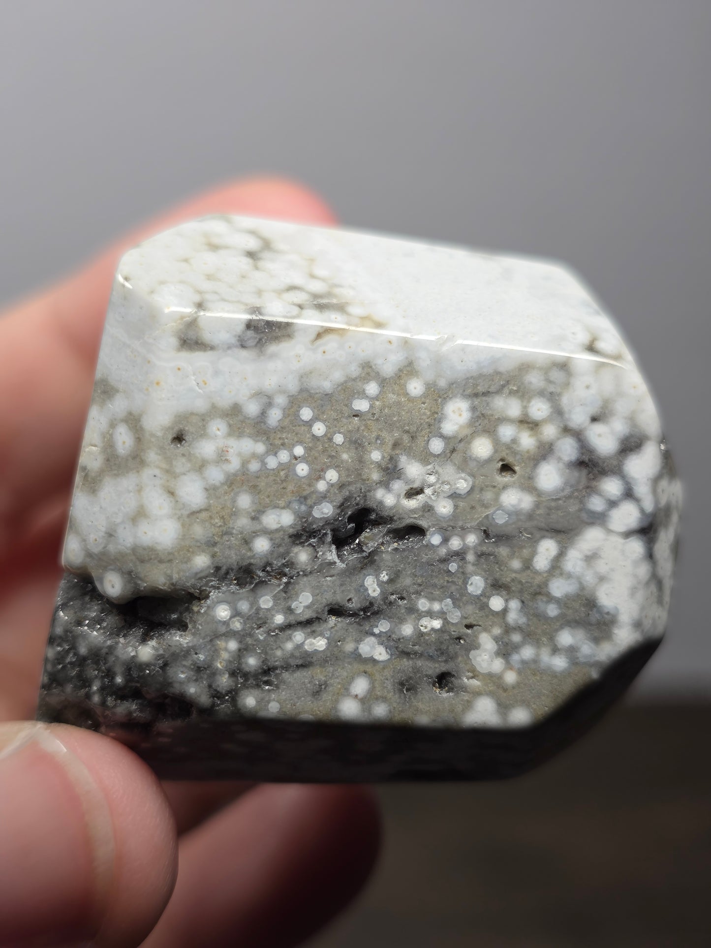 Orbicular Jasper Freeform