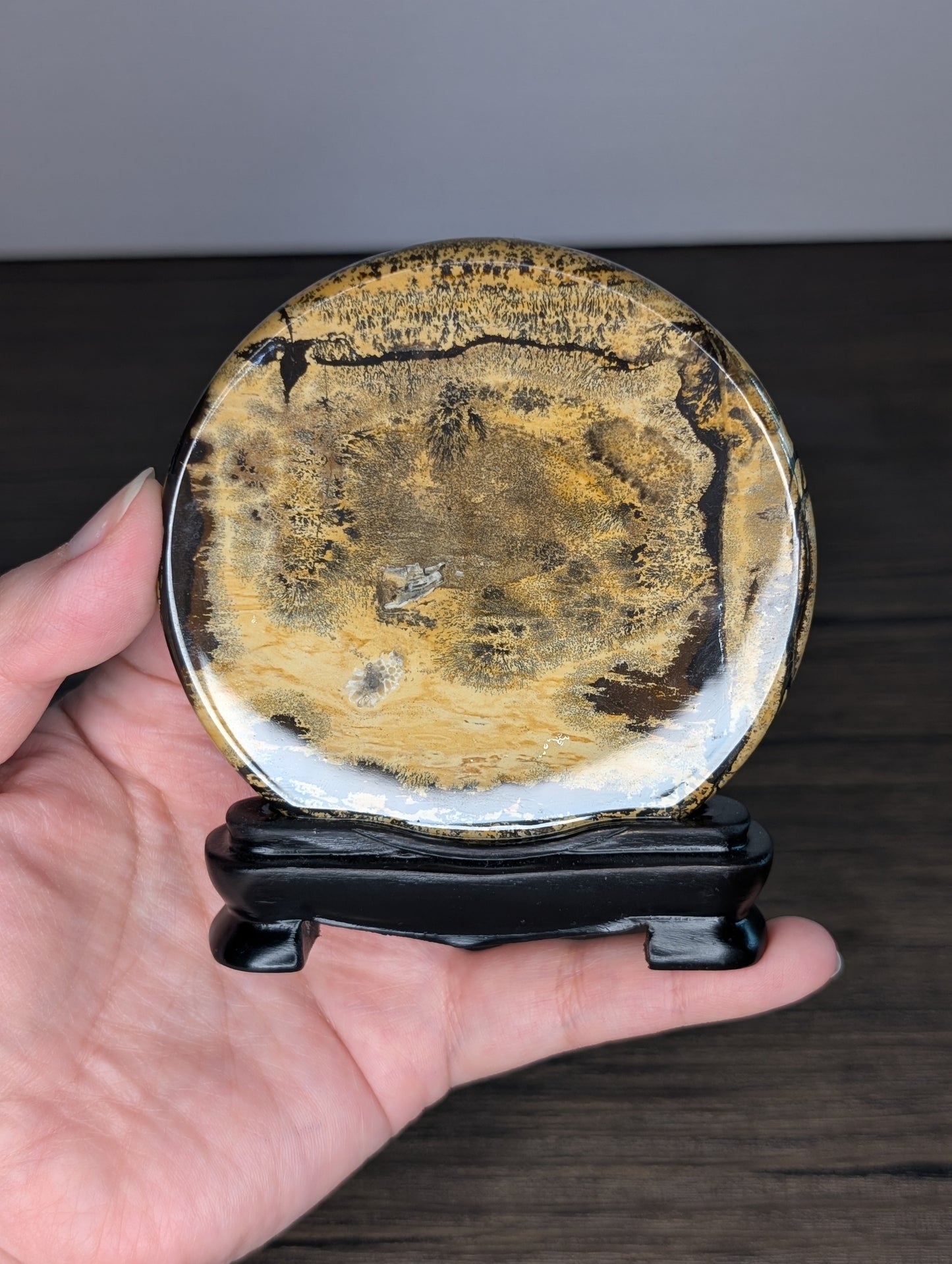 Picture Jasper Slab with Wooden Base