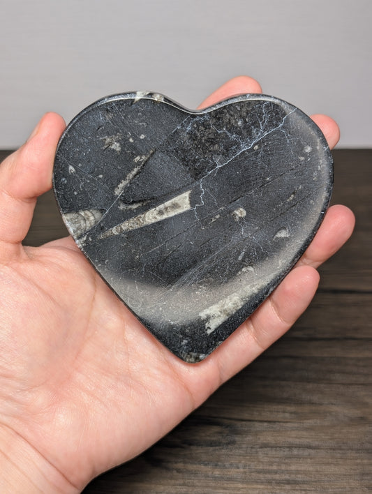 Orthoseras Heart Slab