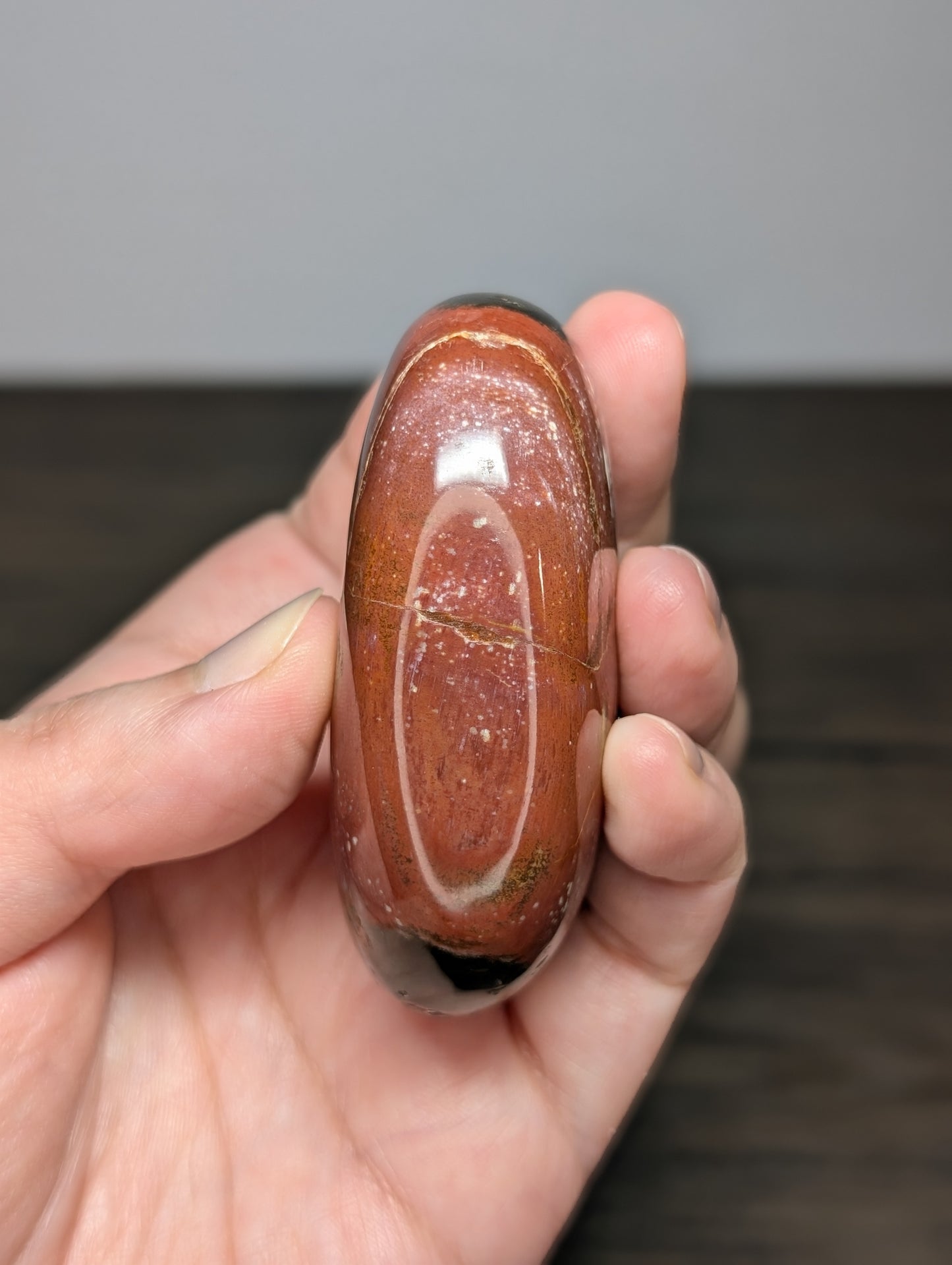 Petrified Wood Palm Stone