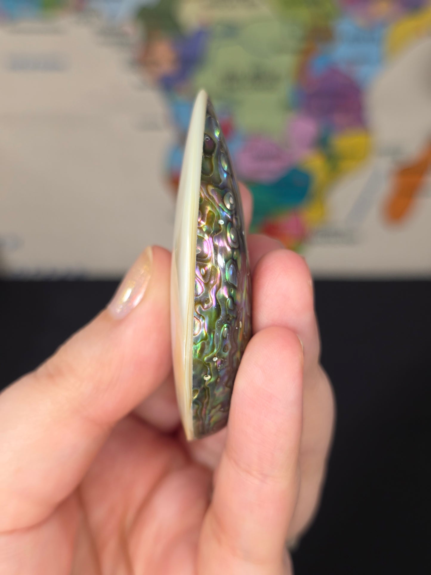 Abalone Shell x Mother of Pearl Palm Stone
