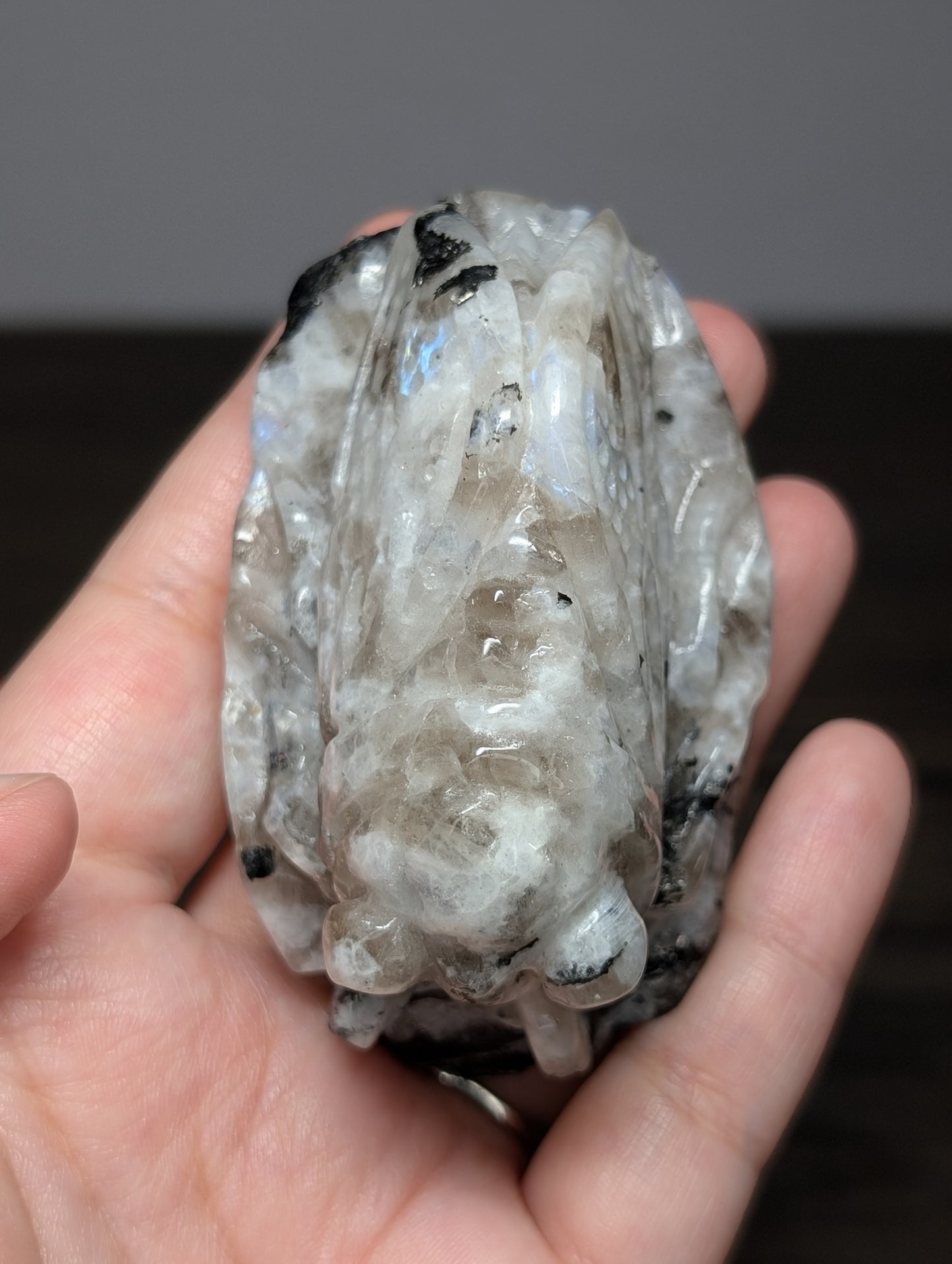 Rainbow Moonstone Cicada Carving