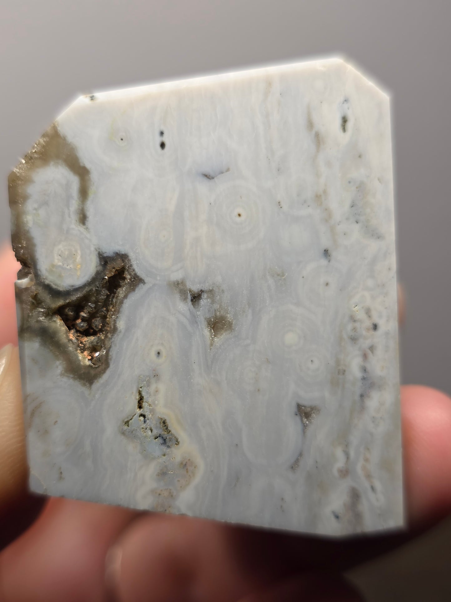 Orbicular Jasper Freeform