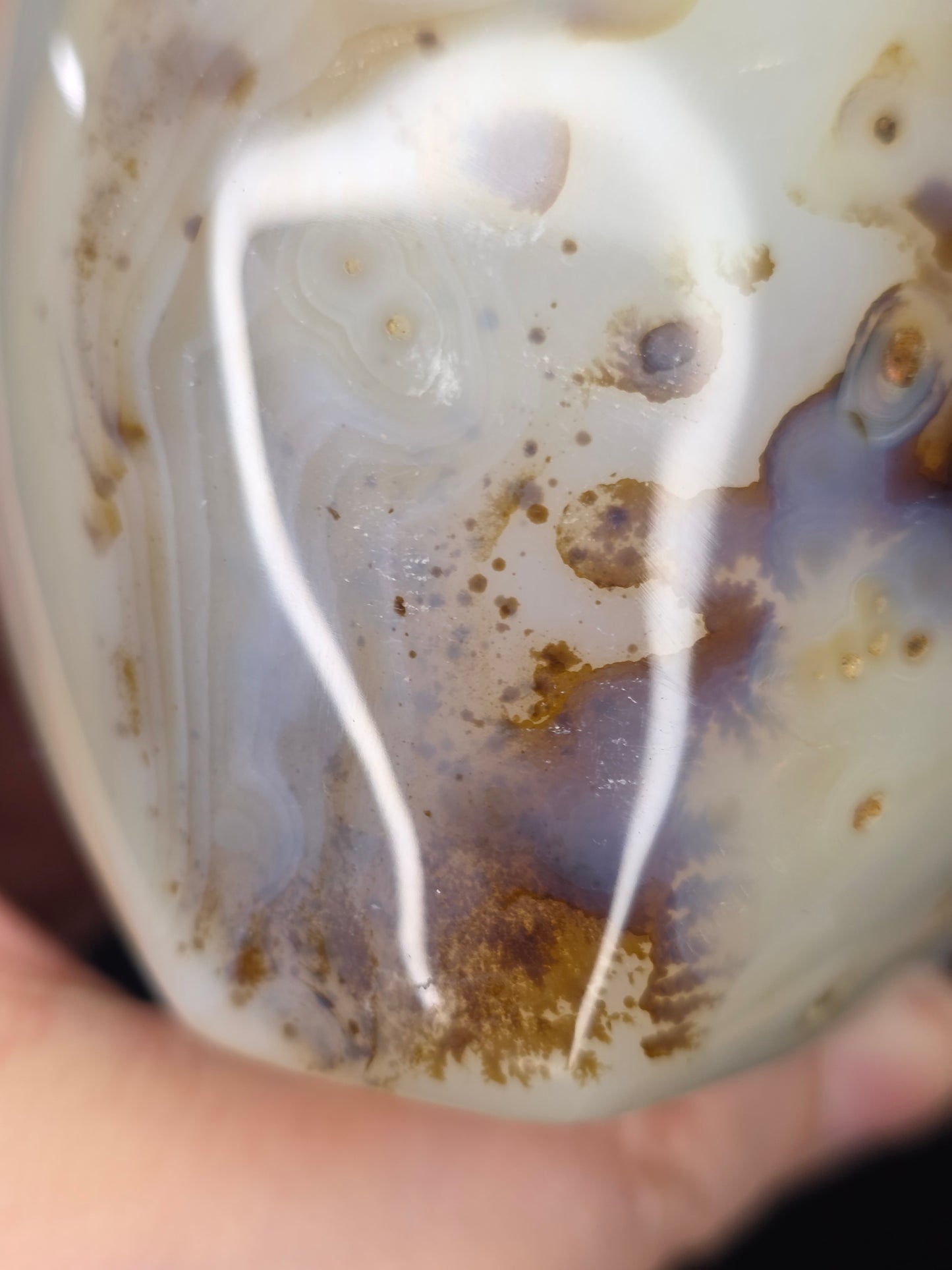 Dendritic Agate Freeform