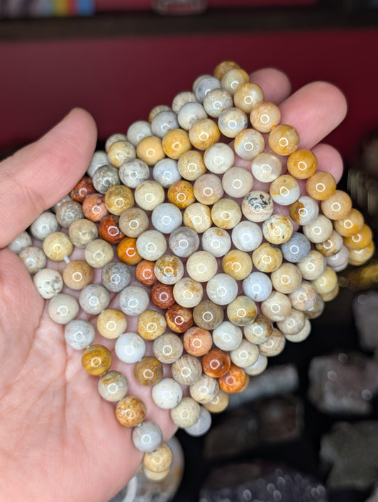 Fossil Coral 8mm Bead Bracelet