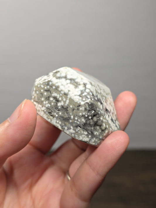 Orbicular Jasper Freeform